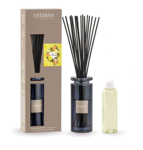 esteban_paris_bouquet_profumato_iniziale_terra_di_agrumi