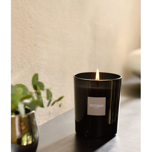esteban_paris_candela_profumata_ricaricabile_ylang_ylang