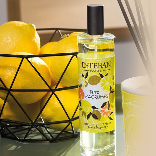 esteban_paris_spray_terra_di_agrumi_100_ml